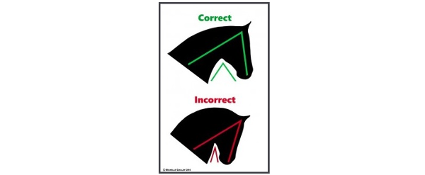 NAWD and protecting the Western Dressage horse from detrimental effects of riding behind the vertical