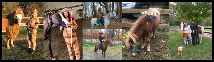 Costume entries Horse costume